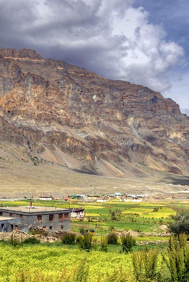 Valley of Flower Ladakh