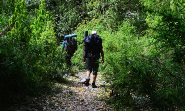 Dhauladhar Foothills Trek
