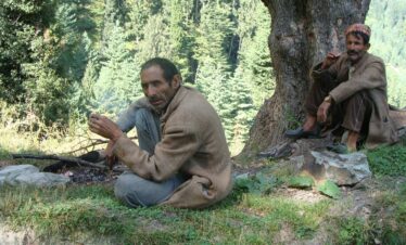 Gaddi Shepherd Trek