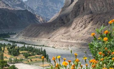 valley of flower ladakh