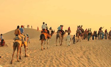 rajasthan camel tour
