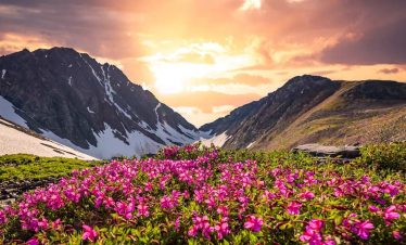 valley of flower trek uttarakhand