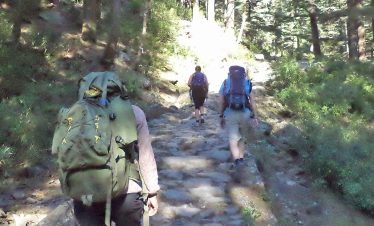 jungle walk in dharamshala